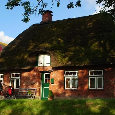Gemutliches Ferienhaus Mit Reetdach Direkt Auf Dem Deich * 佩尔沃姆